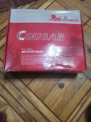Мальчиковые Ролики Cougar 1