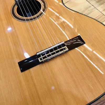 Classic guitar Klassik guitar 1