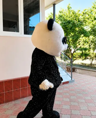 Продаётся блестящий костюм Panda 1