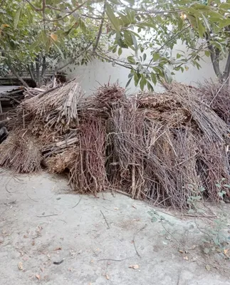 Quruq oʻtin sotiladi 1