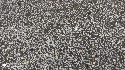 Pollaringizni mukammal qilamiz 1