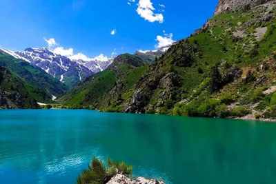 Tog‘larga sayohatlar. Chorvoq, Chimyon, Amirsoy va boshqalar