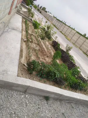 Mindobod xovli uy sotiladi 1