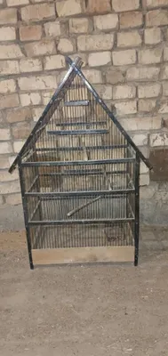 Qapas piramida.. 1