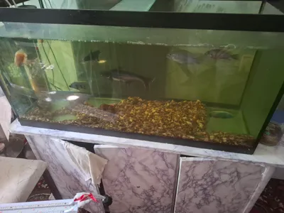 продается аквариум 150л без крышки 1
