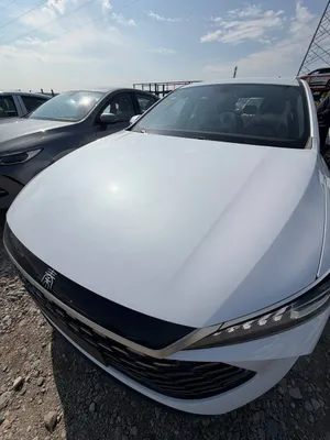 BYD Qin Plus 1