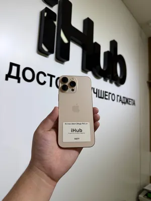 iPhone 16 Pro Max
