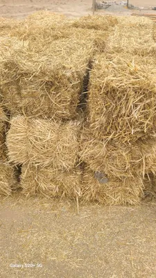 Прессованная и измельчённая солома 1