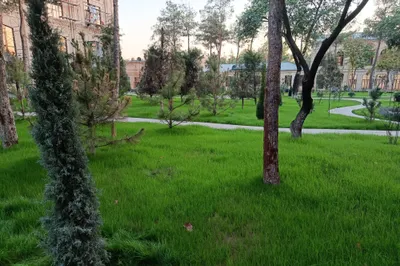 Услуги ландшафтного дизайна 1
