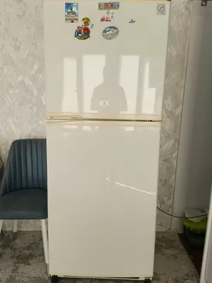 Sharp muzlatkich va muzlatish kamerasi bilan 1