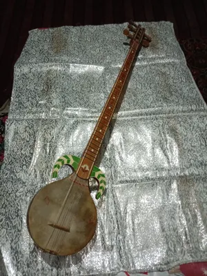 Продаётся кашкарский рубаб 1