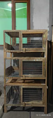 Tayyor quyon kataklari 1