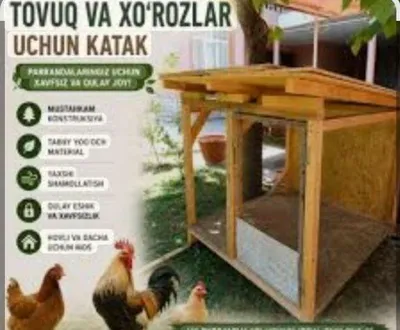 Tovuq katak mustahkam va qulay.. 1