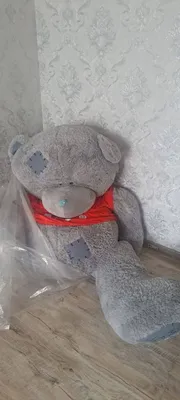 Big Teddy Max новый
