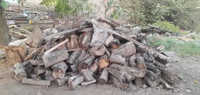 Продаётся утка. 500 тысяч сум