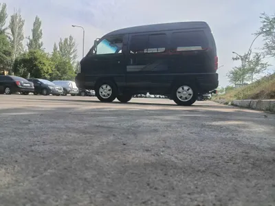 Водитель и перевозчик