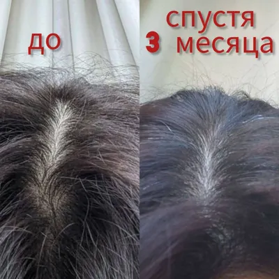 Soch muammolarini Yevropa vositalari bilan hal qilaman 1
