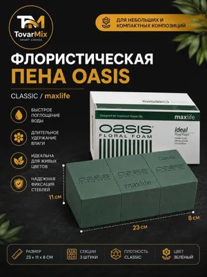 флористическая губка 1