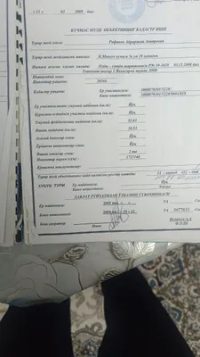 uy 1