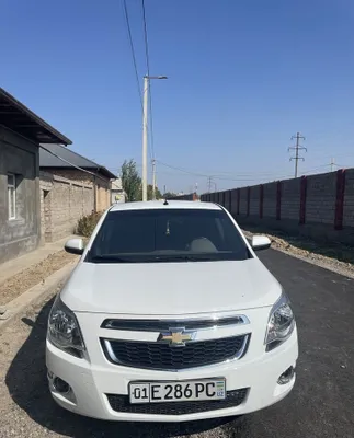 2024 краска тоза 54000 йурган 1