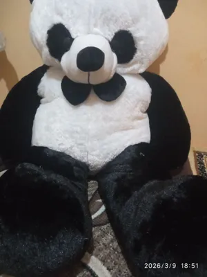 Продаётся панда 1