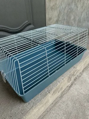 Клетка для котят