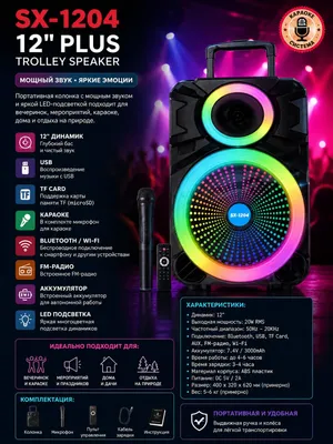 12″ dinamikli SX-1204 portativ karaoke kolonkasi — ajoyib tanlov