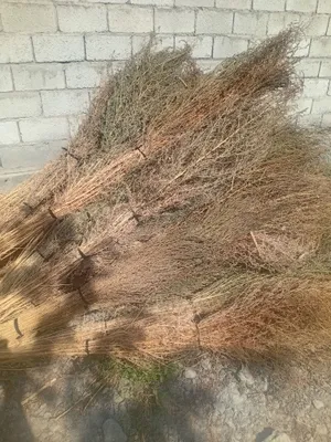 Hovli supurgi