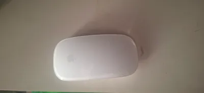 Magic Mouse Apple 2 1