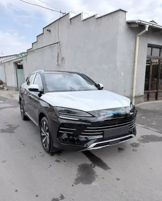 Byd chempion 110 talik 2024 srochno sotiladi 1