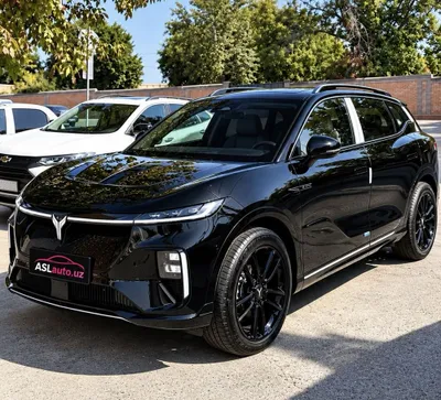Voyah Courage 4WD 2024 йил 1