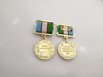 Памятный нагрудный знак Учителю и наставнику 1