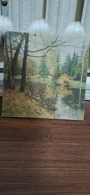 картинка ссср 1981 год 1