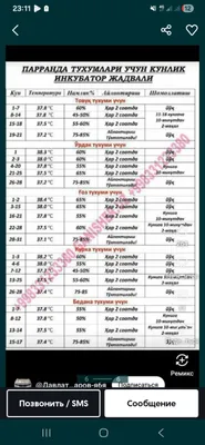 Инкубатор inkubator 1