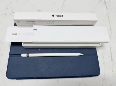 Apple Pencil — iPad uchun ruchka 1