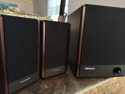 “Mircrolab FC330BT” Subwoofer 1