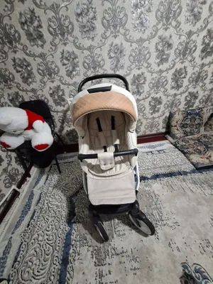 каляска 1