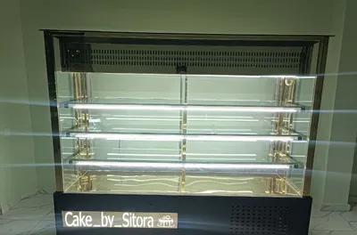 Холодильник витринный 1