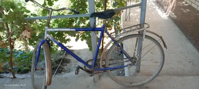 slavodchik velosiped