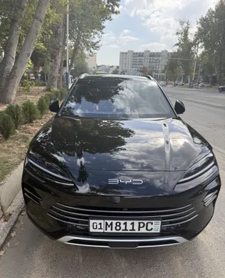 BYD Champion гибрид 150км 1