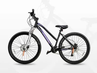 Mongoose Montana 27.5 (USA) 1