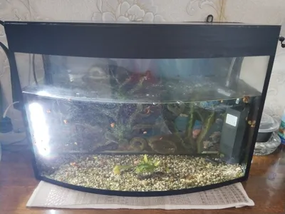 akvarium