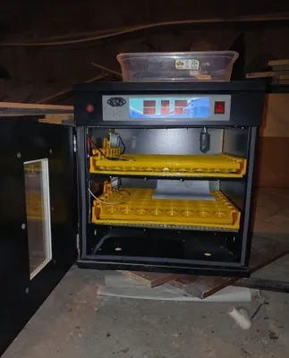Инкубатор 100талик 1