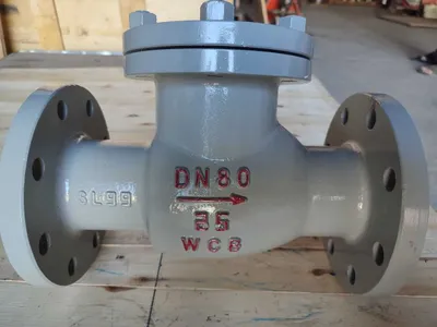Клапан обратный стальной поворотный фланцевый DN80 PN25 1