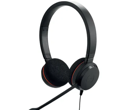 Гарнитура Jabra Evolve 20 1