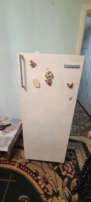 Pamir Muzlatkich mator hammmasi zor