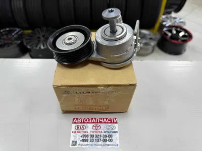 Натяжитель Ремня - Hyundai/Kia K8/K9/Palisade/Seltos/Creta/Tucson 1