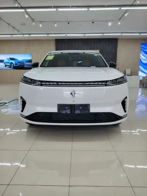 DONGFENG 008 гибрид 210 км 1