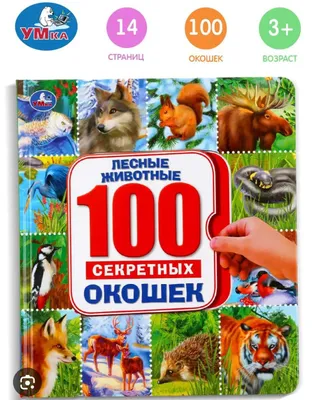 Новая книга! 100 секретных окошечек! 1