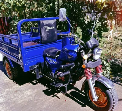 Telda xamma malumotlar 1